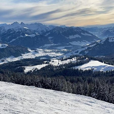 Confortable Chalet Avec Magnifique Vue En Gruyere. シャルメ エクステリア 写真
