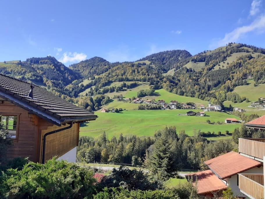 Confortable Chalet Avec Magnifique Vue En Gruyere. シャルメ エクステリア 写真
