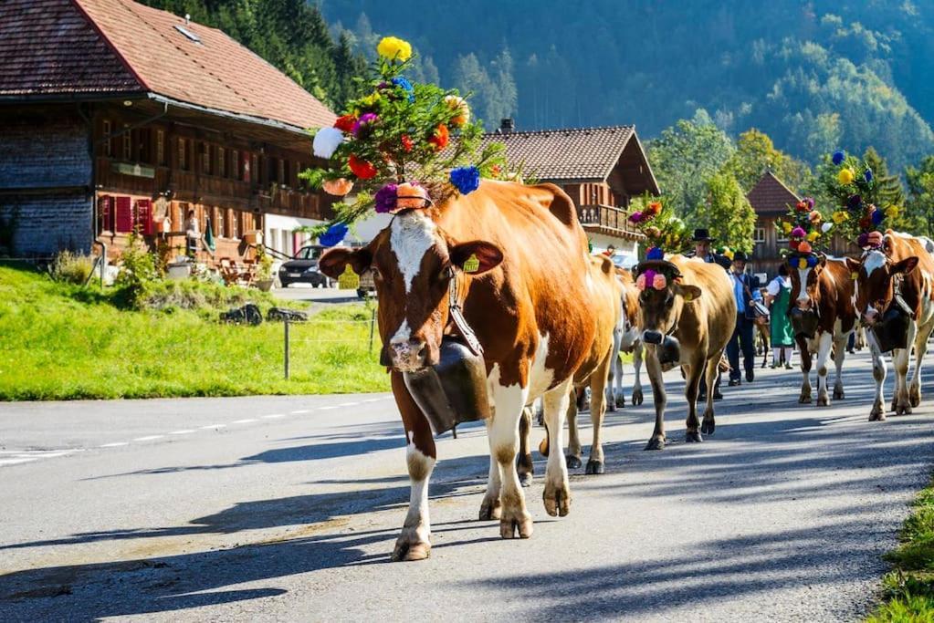 Confortable Chalet Avec Magnifique Vue En Gruyere. シャルメ エクステリア 写真