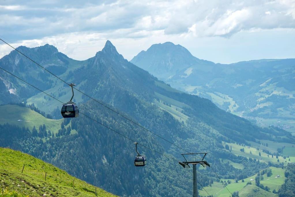 Confortable Chalet Avec Magnifique Vue En Gruyere. シャルメ エクステリア 写真