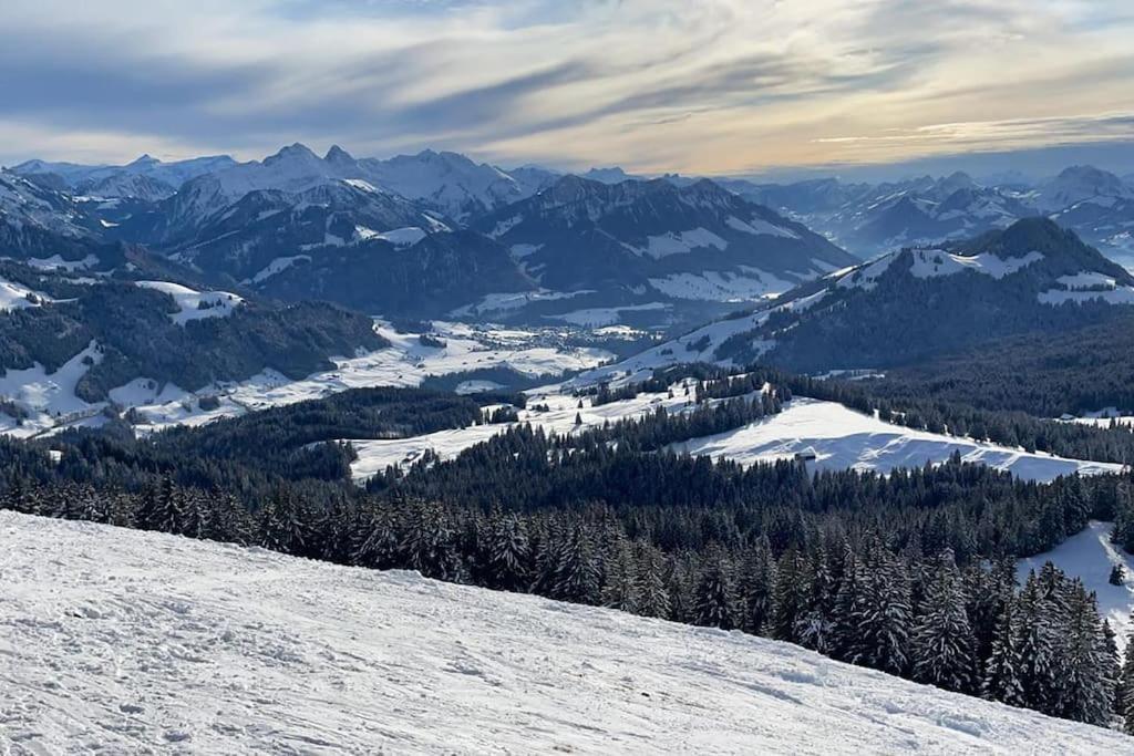 Confortable Chalet Avec Magnifique Vue En Gruyere. シャルメ エクステリア 写真